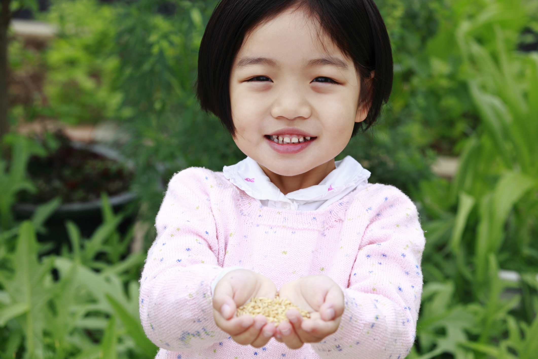 Food: Grades 5-6: Food For the Future