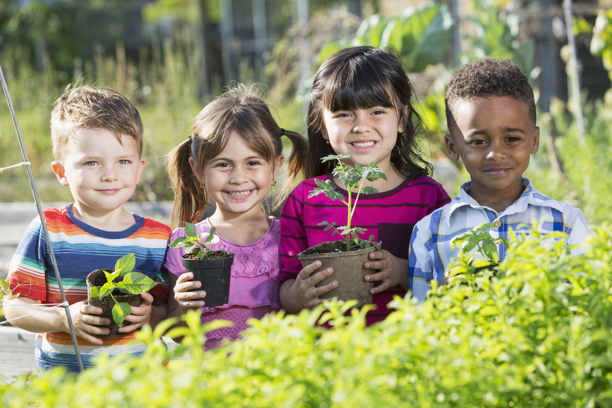 Introduction to Sustainability: Elementary School
