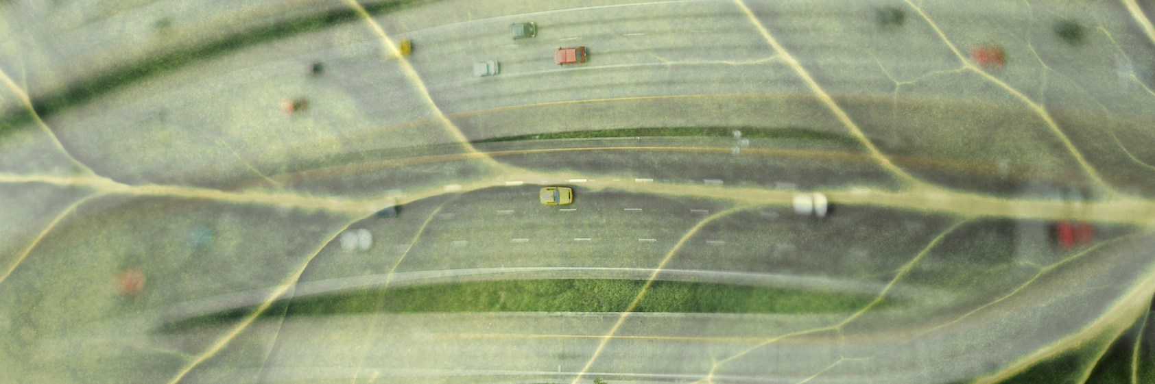 Module 2: Location, Transportation, and Sustainable Sites