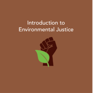 Introduction to Environmental Justice