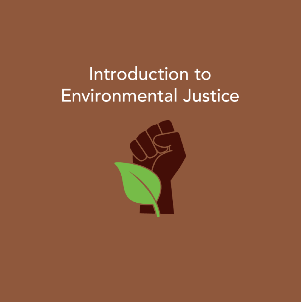Introduction to Environmental Justice