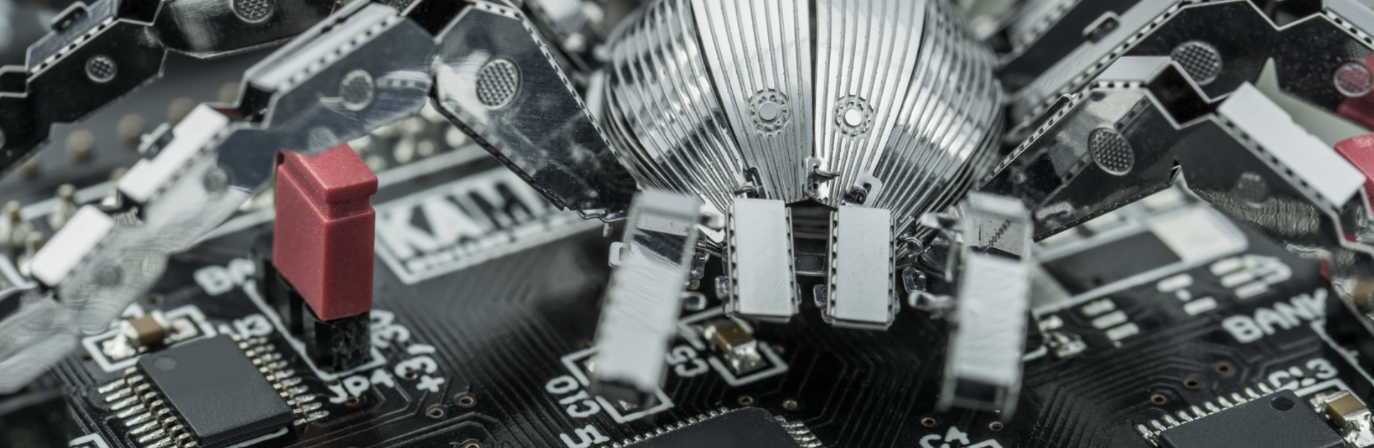 Module 2: Physics and Biomimicry