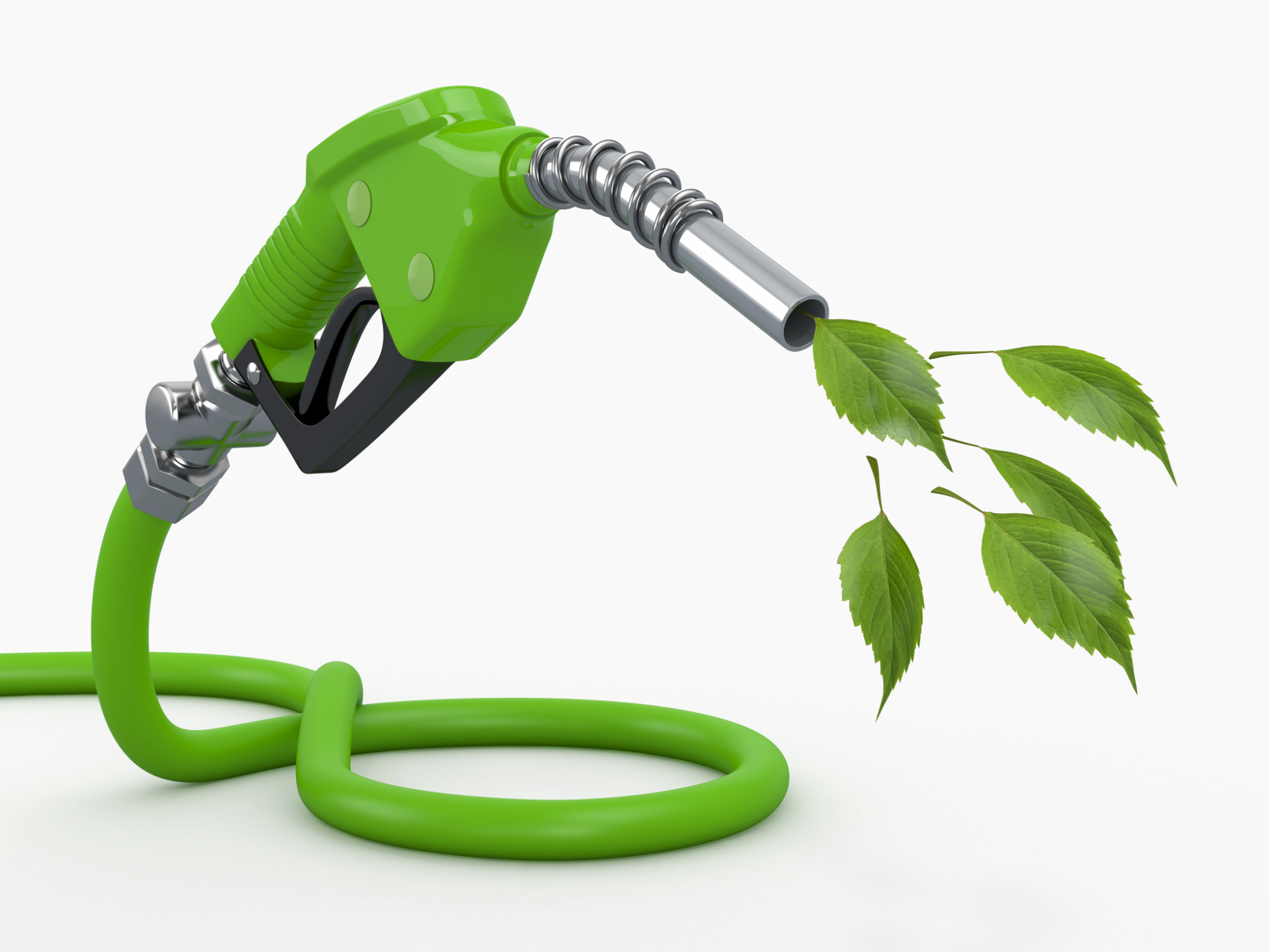 Waste: Grades 5-6: Waste and Energy