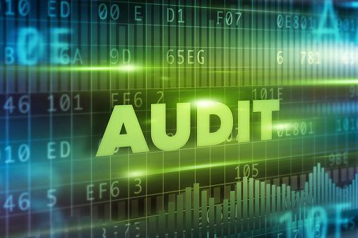 Waste: Grades 11-12: Waste Eco-Audit