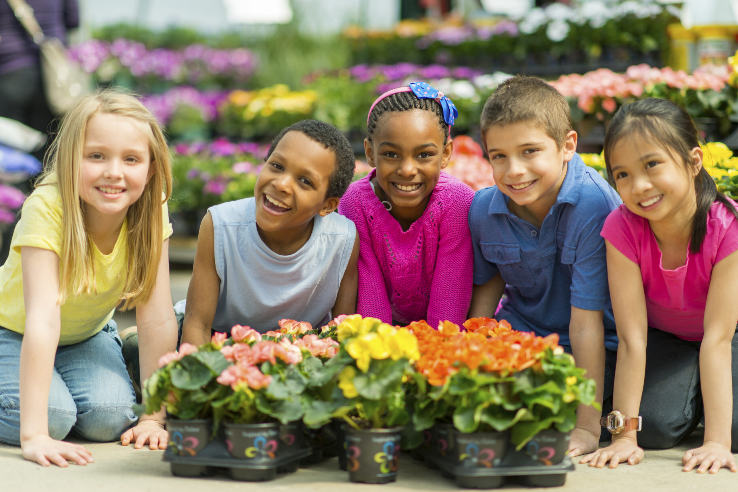 Food: Grades 1-2: Nature Knows Best