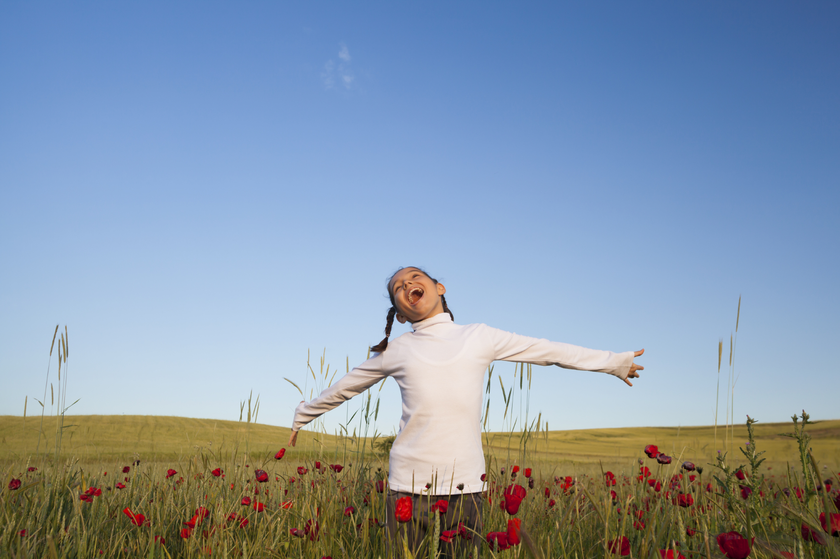 Air: Grades 3-4: Sensing Quality Air
