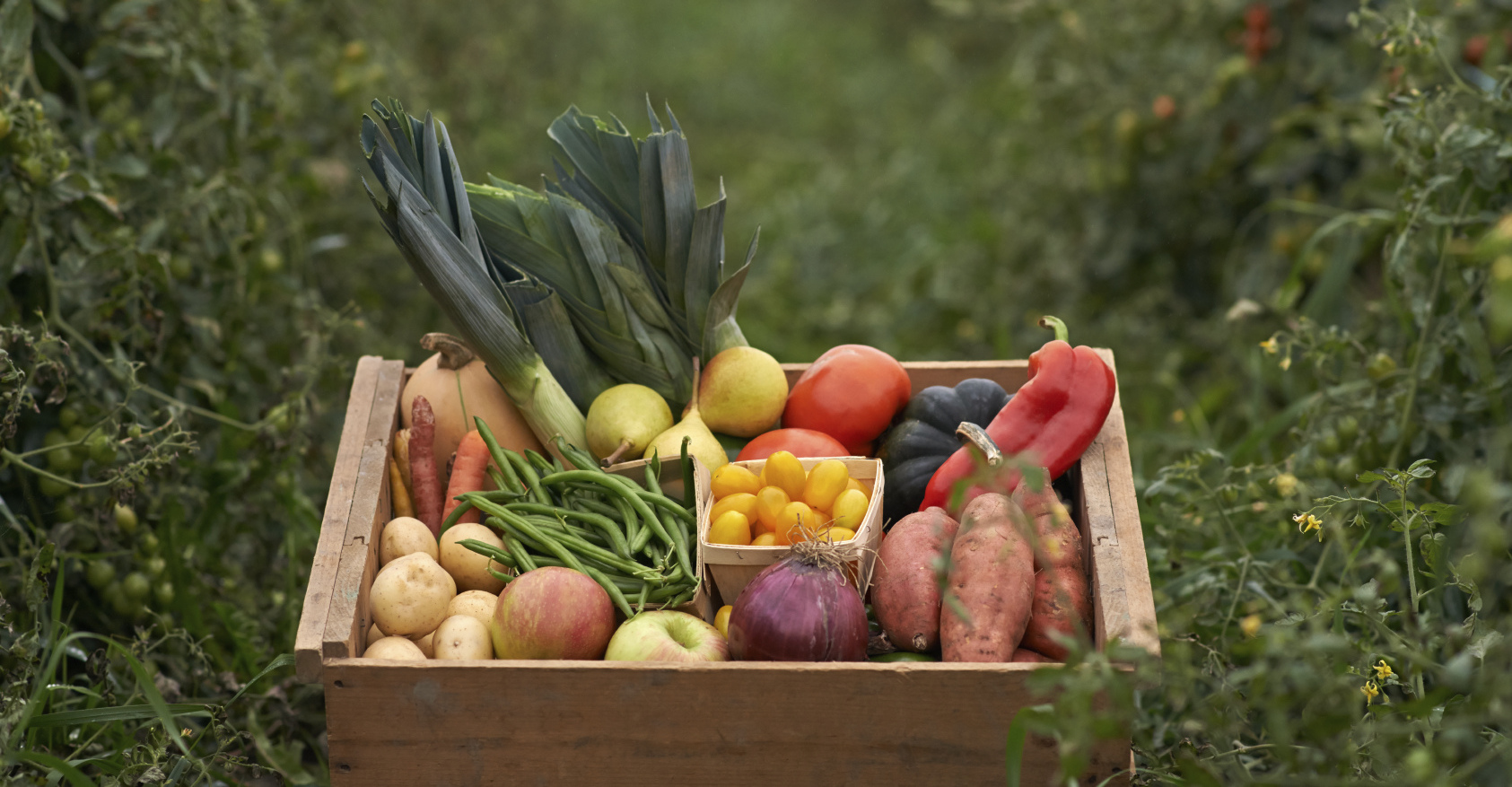 Food: Grades 9-10: Sustainable Eating
