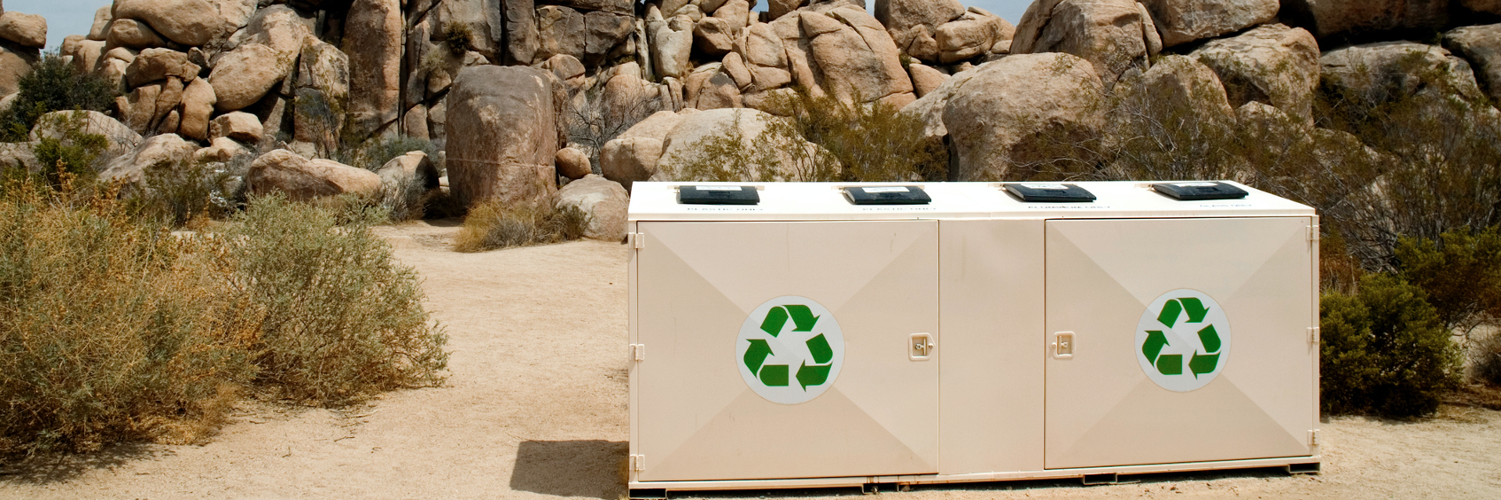 Module 1: Recycling: Past, Present, and Future