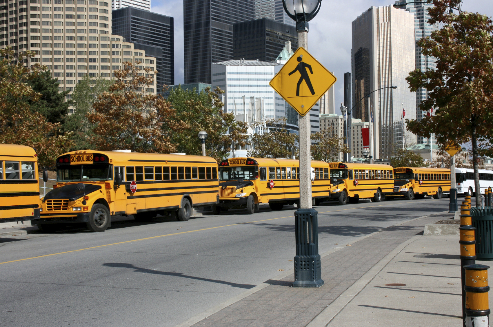 Transportation: Grades 11-12: School Transportation Eco-Audit
