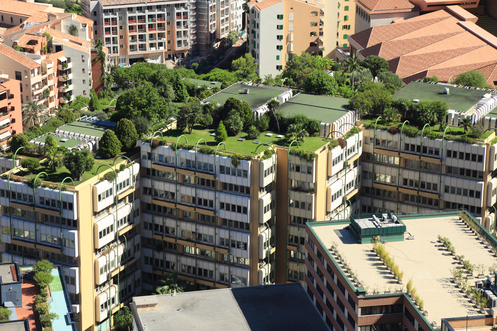 Public Spaces: Grades 5-6: Green Spaces