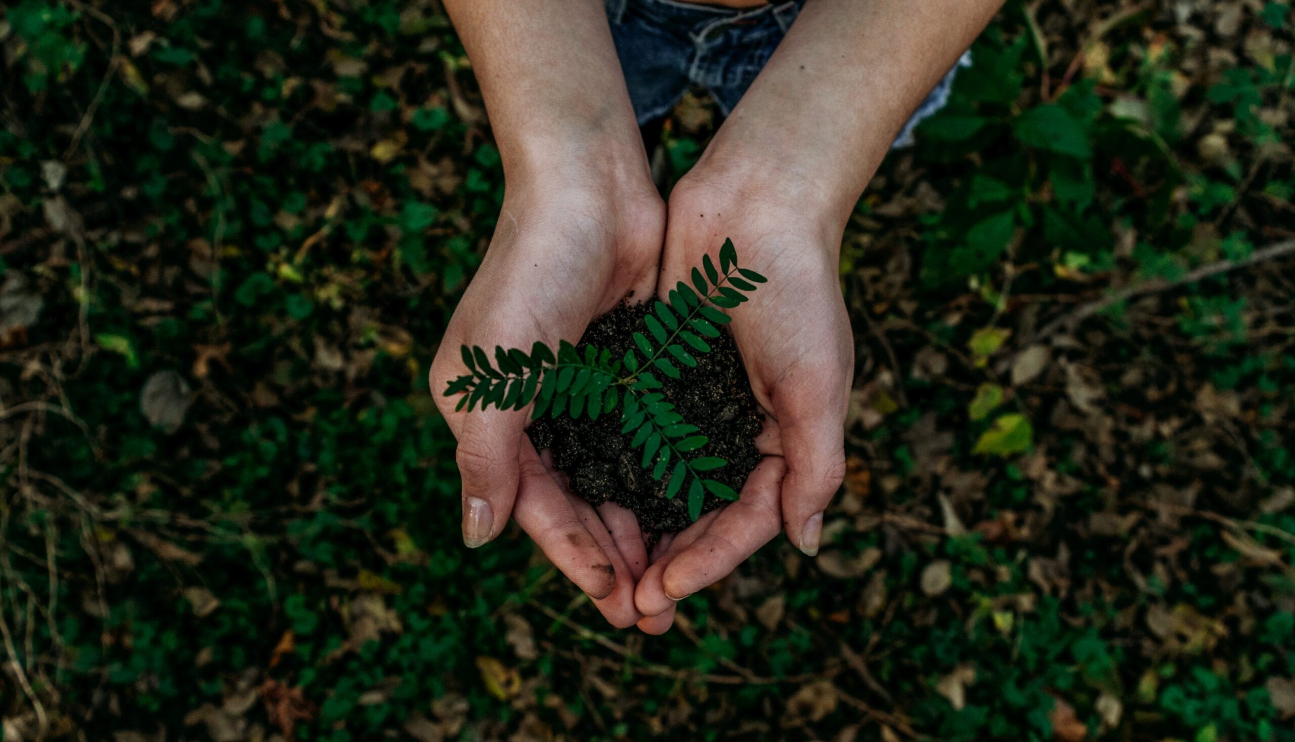 Introduction to Climate Resilience: High School